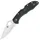 Spyderco Delika 4 grau (C11PBK)