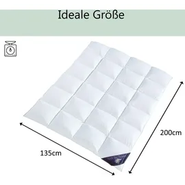 Welt der Träume Bettdecke 135 x 200cm 1200 Gr. + Kopfkissen 80 x 80cm 1380 Gr. Füllung: 60% Daunen/ 40% Federn