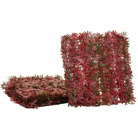 MCW Wandfliese L78 Rot 50 x 50 cm 4 St.