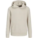 JACK & JONES JACK&JONES JUNIOR Jjebradley Sweat Hood Noos Jnr