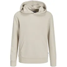 JACK & JONES JACK&JONES JUNIOR Jjebradley Sweat Hood Noos Jnr