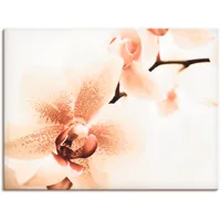 ARTland Wandbild »Orchidee abstrakte Collage«, Blumen, (1 St.), als