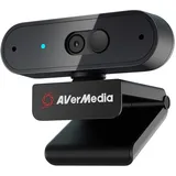 AVerMedia PW310P