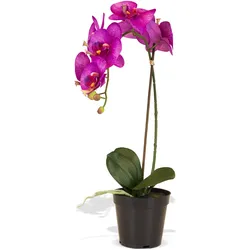 Orchidee Kunstpflanze, Höhe 55 cm, pink