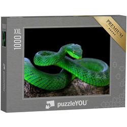 puzzleYOU Puzzle Puzzle 1000 Teile XXL „Nahaufnahme: Grüne Albolaris-Schlange“, 1000 Puzzleteile, puzzleYOU-Kollektionen Schlangen, Tiere in Dschungel & Regenwald