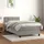 vidaXL Boxspringbett mit Matratze Hellgrau 90x200 cm Samt