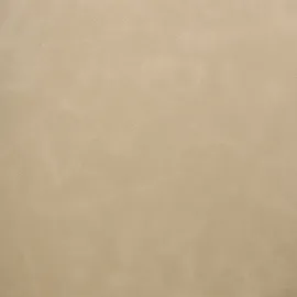 Beliani Beliani, Stühle, Sansarc