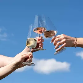 Schott Zwiesel MioVino Weißweinglas 0,38 l 4er Set