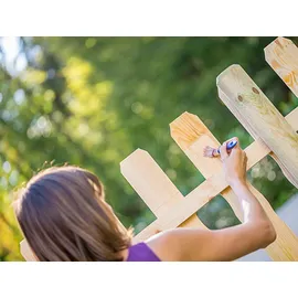 Bondex Holzlasur Transparent 4,8 l