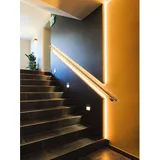 EGLO LED Stripe-Z 99684 14 W warmweiß-kaltweiß 300 cm
