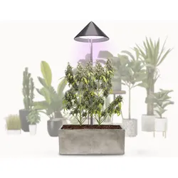 VENSO LED Pflanzenlampe Vollspektrum CANNA SUNLiTE, 30W Parus Grow Light, Ausziehbarer Teleskopstab bis 170cm, Ideal für 1-2 Cannabis Pflanzen, Indoor Anzucht, 4000K, IP54, EU-Stecker