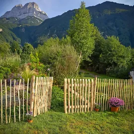 BooGardi Gartentor Holz Bausatz · 168 Größen wählbar · Beige