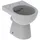 Geberit Renova Stand-WC mit WC-Sitz Grau spülrandlos