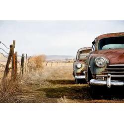 Fototapete PAPERMOON "Vintage Rusting Cars", bunt (mehrfarbig), B:3,5m L:2,6m, Vlies, Tapeten