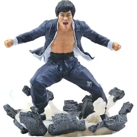 Diamond Select Torys Bruce Lee Gallery Earth PVC Statue (MAR212004)