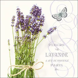 20 Servietten Papier 33x33cm 3-lagig - hochwertige Einweg Papierservietten Lavendel Schmetterling Motiv Vintage Tischdeko Frühling Sommer Picknick