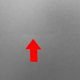 Samsung RL34C652CB1/EG Kühl-Gefrierkombination (341 l, 1850 mm hoch, Schwarz)