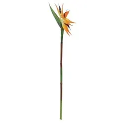 EUROPALMS Paradiesvogel-Blume, Kunstpflanze, orange, 95cm