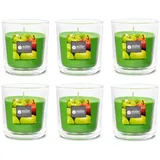 Gebr. Müller Kerzenfabrik AG Duftkerze 65 mm Set 6 St.