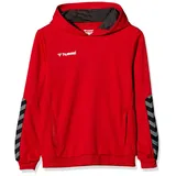 hummel Authentic Polyester Hoodie Kinder true red 176