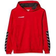 hummel Authentic Polyester Hoodie Kinder true red 176