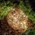 Best Season Led-3d-kugel 'galax Fun', Ockergelb, Alu, 30 cm