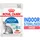 Royal Canin Indoor Sterilised in Soße 85 g