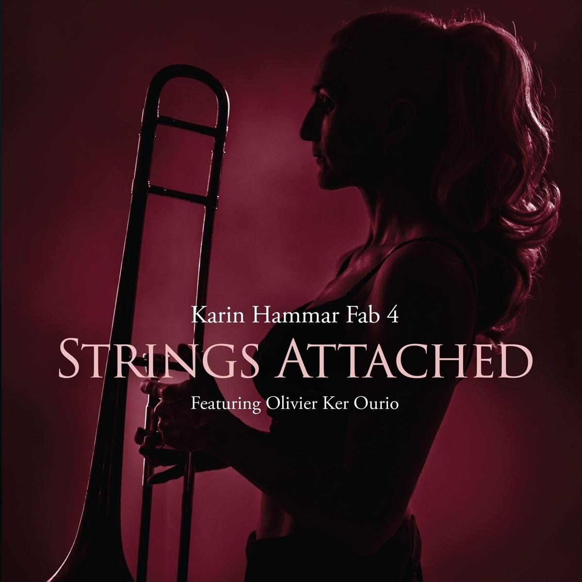 Strings Attached - Karin Hammar Fab 4  The Fab Stringz. (CD)