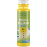 Schöner Wohnen Mineral Vollton- & Abtönfarbe Gelb matt 250 ml