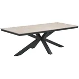 Gardissimo Armati Gartentisch 220 x 100 x 74 cm Grau