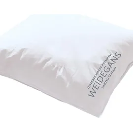 Kauffmann Österreichische Weidegans 240x220 cm / warm