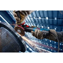 Bosch EXWS20-125B im Karton