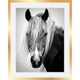 Queence Bild »Pferdekopf«, in 3 Größen, gerahmt, 58617408-0 schwarz B/H/T: 50 cm x 70 cm x 3 cm,