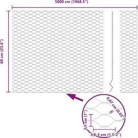 vidaXL Hexagonzaun 0,6 x 50 m Grün Kunststoff 2 St.
