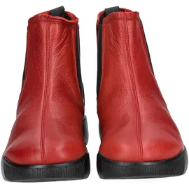 Softinos Stiefelette Stiefelette Leder/Textil | 38
