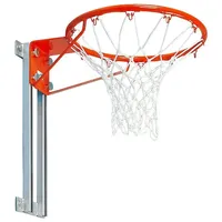 Sport-Thieme Basketball-Leiter