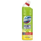 Domestos WC-Reiniger Gel extra stark 750 ml