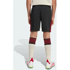 adidas FC Liverpool Auswärtsshorts 2025/26 schwarz Kinder Gr. 140