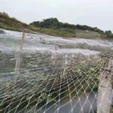 Ccsh Vogelschutznetz Nutzpflanzen-Gitternetzschutz, Obstbäume Heidelbeersträucher Weißes Nylon Gartennetz, Abschreckungspräventionsnetz (Size : 5x6m/16x20ft)