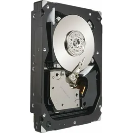 Seagate Cheetah 300 GB 3,5" 15000 U/min