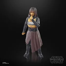 Hasbro Acolyte Mae Assassine Actionfigur 15 cm - Lila/Schwarz