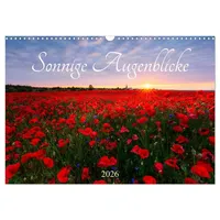 Calvendo Sonnige Augenblicke (Wandkalender 2026 DIN A3 quer), CALVENDO