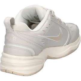 Nike Air Monarch IV Light Bone/Sanddrift/Spruce Aura 42,5