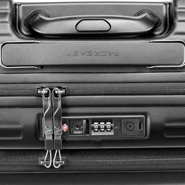 Pack Easy Genius 2-Rollen Cabin 42 cm / 43 l grau/schwarz