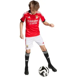 adidas Benfica Lissabon Heimshorts 2025/26 weiß Kinder Gr. 152