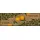 Wash+Dry Le Citron 75 x 120 cm Beige/Gelb