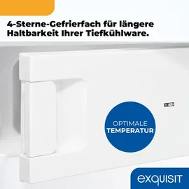 Exquisit KS16-4-HE-040C Kühlschrank (95 l, 850 mm hoch, Weiß)