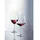 Schott Zwiesel Rotweingläser Ivento 633,0 ml, 6 St.