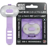 Max & Molly Matrix 2.0 Ultra LED, Hundelicht für Geschirr, Leine & Halsband, Lavendel, Wasserfest, USB Wiederaufladbar, Hundelampe LED, Hunde Leuchtanhänger für mehr Sicherheit bei Nacht