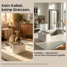 astropet Katzenbrunnen Kabellos - 2,5L Trinkbrunnen für Katze & Hunde mit App Steuerung, 5200mAh Akku, 180° Bewegungssensor, Leise Drahtlose Pumpe
